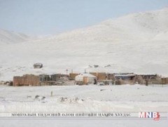 Баян-Өлгийн өвөлжилт хүндэрсэн нутагт 900 мянга гаруй толгой мал байна