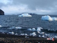 2040 оны үед хойд туйл мөсгүй болно гэсэн тооцооллыг судлаачид гаргажээ