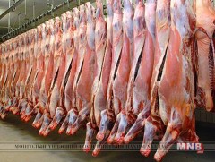 Баян-Өлгий аймаг 411,1 тонн мах экспортолжээ