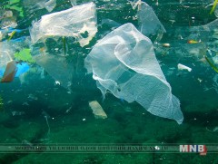 Жилд 8 тэрбум орчим гялгар уут далайд хаягддаг