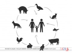 Халдварт өвчний 70 гаруй хувийг зоонозын өвчин эзэлж байна