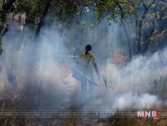 Венесуэлийн хямрал хумхаа өвчин тархах аюулд хүргэж байна