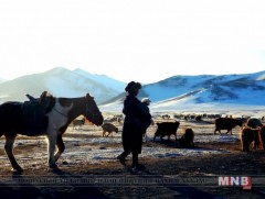 “Улсын аварга малчин” нэвтрүүлэг 