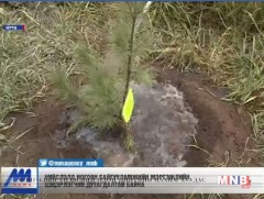 Нийслэлийн хэмжээнд 450-500 гаруй цэцэрлэгчин шаардлагатай байна