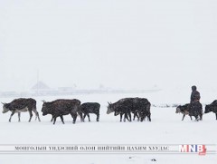 Сагсай сумын Даян нутаг цас ихтэй, зудын байдалтай байна