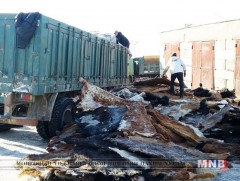 Арьс, ширний үйлдвэрүүдэд нийт 18 сая төгрөгийн торгууль ногдуулжээ