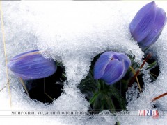 Хаврын дурсамж 