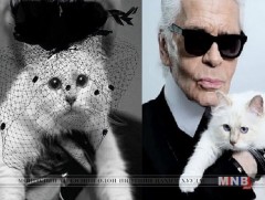 Загвар зохион бүтээгч Карл Лагерфельд муурандаа 200 сая доллар өвлүүлэн үлдээжээ