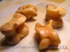 Морь буусан шагай