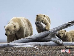 ОХУ-ын Архангельск муж онц байдал зарлаад байна