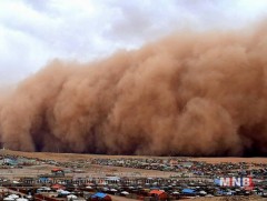 Сүүлийн жилүүдэд шар шороон шуурганы давтамж нэмэгджээ