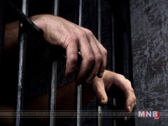 Манай улсад Вьетнамын хоёр иргэн ял эдэлж байна