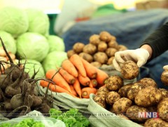 “Монгол ногоо” төсөл хэрэгжсэнээр өрхийн тариаланчид нэмэгджээ