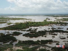 “Идай” циклоны улмаас 150 гаруй хүн амиа алджээ