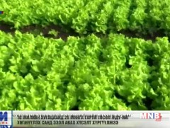 Бизнес эрхлэгчдийн 10 хүрэхгүй хувь нь ЖДҮ-ийг хөгжүүлэх сангаас зээл авчээ