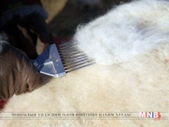 Нэг кг ноолуур 120 мянган төгрөгний ханштай байна