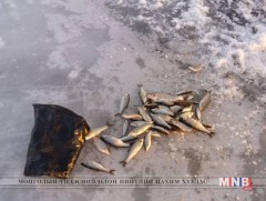 Зөвшөөрөлгүй загас барьж байсан зөрчлийг илрүүллээ