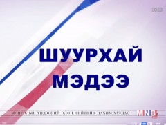 МҮОНРТ-ийн Үндэсний зөвлөлийн гишүүдийг томилох асуудлаар байнгын хороо дэмжлээ