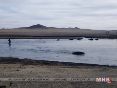 Хэрлэн голоос 500 орчим сэг зэмийг зайлуулж цэвэрлэв