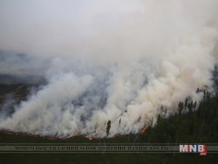 Сэлэнгэ, Дорнод, Хэнтий аймагт ой хээрийн түймэртэй байна