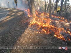 Ар Байгальд гарсан түймрийн уршгаар 400 гаруй хүн хохироод байна 