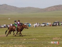 Хэнтий аймгийн Цэнхэрмандал суманд бага гурван насны хурдан морины уралдаан болно