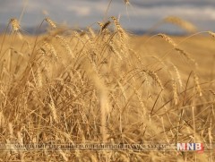 Тариалангийн талбайг хашиж хамгаалах ажлыг дэмжинэ