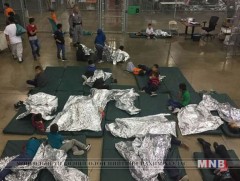 Төв Америкаас ирсэн 338 цагаачийг саатуулжээ