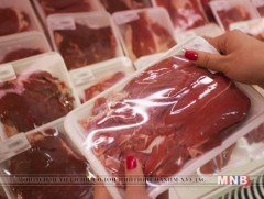 Өнгөрсөн жил махны экспорт 25 хувиар өсжээ