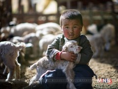 Өмнөговьчууд “Төлчин хүүхэд” арга хэмжээг гурав дахь жилдээ зохион байгуулж байна
