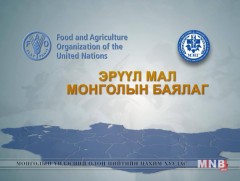 Эрүүл мал Монголын баялаг