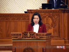 Нэмэлт протоколыг соёрхон батлах  тухай хуулийн төслийг баталлаа