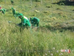 Нийслэл хотын таван хүн тутмын нэг нь харшилтай