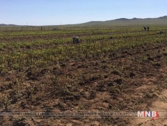 Хөрсний үржил шимийг сайжруулах шаардлагатайг онцоллоо