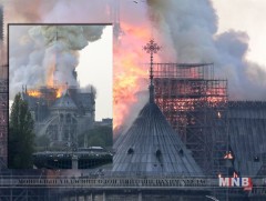 Алдарт Парисын дарь эхийн сүм галд автлаа