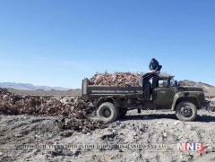 2860 м2 талбайг цэвэрлүүлэв