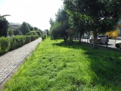 Ногоон байгууламжийг нэмэгдүүлэх нь агаар хөрсний бохирдлыг хоёр дахин бууруулах боломжтой