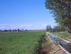 Есөн мянган га-гийн усалгааны тоног төхөөрөмжийг борлуулж эхэллээ