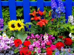 Цэцэгсийн ордон