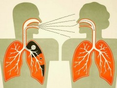 Сүрьеэгээс хамгаалах шилдэг арга дархлаагаа дэмжих гэдгийг эмч нар хэлж байна