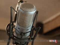 “Бурхдын хотын мөнгөн багтай хаан” Иерусалемийн IV Балдвинг хааны тухай