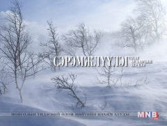 Өнөөдөр Дорноговь, Сүхбаатарын нутгаар хүчтэй цасан шуурга шуурна