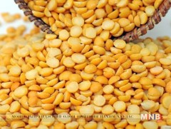 Шар вандуйн ач тус