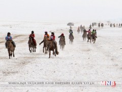 Энэ сард болох хурдан морины уралдааны товыг танилцуулъя 