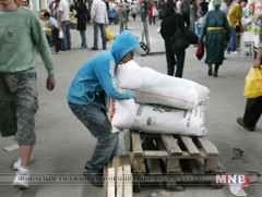 Монгол Улсад 56 мянга гаруй хүүхэд хөдөлмөр эрхэлдэг