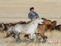 Эртний хаад, хатдын морьдын цол хэргэм болон түүхэнд үлдсэн баримтууд