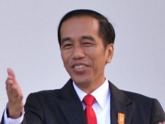 Жоко Видодо ялалт байгууллаа