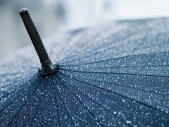 Түр зуурын бороотой 