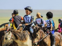 Унаач хүүхдүүдийг гэнэтийн ослын даатгалд бүрэн хамруулах шаардлагатай байна