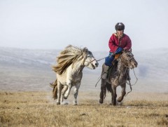 Монголчуудын хүлэг морио эрхэмлэх сэтгэлгээ, зан үйл, соёл